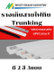รางเก็บสายไฟทึบ Trunking