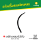 เหล็กแหลมตัวโค้ง (20 ซม.)