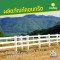 เสารั้วคาวบอย 3 ราว ขนาด 6 นิ้ว x 6 นิ้ว x 1.70 เมตร