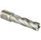 Dewalt รุ่น DT84503-XJ ดอกเจาะเจ็ทบรอช / ดอกคัตเตอร์เจาะเหล็ก ไฮสปีด ขนาด 20 x 50 มม.