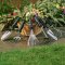 Bosch รุ่น 06008B5500 Garden Grubber คราดกำจัดวัชพืช Bosch รหัส 06008B5500