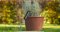 Bosch รุ่น 06008B5500 Garden Grubber คราดกำจัดวัชพืช Bosch รหัส 06008B5500