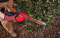 Milwaukee M12 FHT20-0 เครื่องตัดแต่งพุ่มไม้ไร้สาย 12 โวลต์ (เครื่องเปล่า)