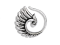 " Wings Spiral Earrings "