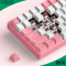 IQUNIX F96-Pink Wireless Mechanical Keyboard