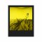 Polaroid Duochrome for 600 film - Black & Yellow Edition