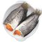 Frozen Gourami-Roe large size ( 6 pcs/kg.)