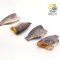 Sun-dried tilapia (Frozen) 1 kg.