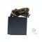 POWER SUPPLY (พาวเวอร์ซัพพลาย) COOLER MASTER MWE BRONZE 450 450W (80 PLUS BRONZE) P17086