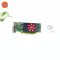 การ์ดจอ (VGA) DELL R5 240 1GB 1F DDR3 OEM P16049
