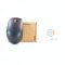 WIRELESS MOUSE (เมาส์ไร้สาย) LENOVO L300 ESSENTIAL COMPACT P15907