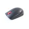 WIRELESS MOUSE (เมาส์ไร้สาย) LENOVO L300 ESSENTIAL COMPACT P16530