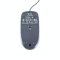 MOUSE (เมาส์) LOGITECH B100 (BLACK) P13637