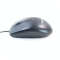MOUSE (เมาส์) LOGITECH B100 (BLACK) P13637
