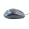 MOUSE (เมาส์) LOGITECH B100 (BLACK) P13637