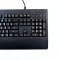 KEYBOARD (คีย์บอร์ด) LOGITECH G213 PRODIGY (BLACK) (TH / EN) P13642