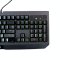 KEYBOARD (คีย์บอร์ด) RAZER BLACKWIDOW ULTIMATE (GREEN SWITCH) (EN/TH) P11917