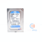 HDD (ฮาร์ดดิสก์) WD BLUE (WD2500AAKK) 250GB SATA 3.5 P14221