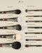 Classy Series Brush Set