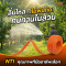 สายพ่นยา NTI ขนาด 8.5 ยาว 50 เมตร