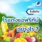 รับมือกับไรแดงแอฟริกันอย่างไร..?
