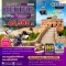 ทัวร์จีน HAPPY ปักกิ่ง เที่ยวยูนิเวอร์แซล 5 วัน 4 คืน สายการบินไทย