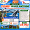 ทัวร์ออสเตรเลีย ซิดนีย์ Whale Watching ฤดูกาลชมวาฬออสเตรเลีย 6 วัน 4 คืน