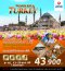 WONDERFUL TURKEY March - May 2022