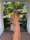 4 Takor x Premium Tailue Maxi Dress