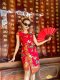 Pateh Qipao Mini Dress