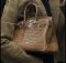 Ladies Genuine Crocodile Handbag in Brown Crocodile Skin #CRW214H-01(copy)(copy)