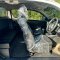 TOYOTA HILUX REVO CAB 2.4 ENTRY Z EDITION ปี68