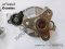 Coolant pump Part number: 11518638026 8638026