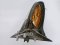 E90 right side mirror 804800 0148104