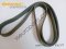 Ribbed v-belt Part number: 11287636377 7636377 , 11287843246 7843246 CONTITECH 7PK 1635