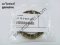 Shaft seal Part number: 27109807679 9807679