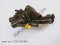 Thermostat housing with thermostat Part number: 11538674895 8674895