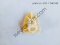 Fastening elements 51217040550 7040550