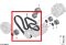 Ribbed V-Belt / Serpentine Belt Part number: 11287586901  7586901 11287628279  7628279  11287570232  7570232 Continental 8 DPK 1827