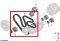 (Ribbed V-Belt 8DPK 1833) Part number: 11287628279  11287586901  11287570232  7628279  7586901  7570232