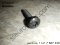 Isa screw Part number: 11417807350 7807350 1141 7 807 350 BMW