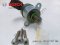 Fuel quantity control valve Part number: 13517787186 7787186 BOSCH 1 465 ZS00 042 1465ZS000242