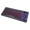 EGA คีย์บอร์ดเกมมิ่งไร้สาย TYPE CMK4 TKL Mechanical Switch Full RGB เชื่อมต่อWirelessและสาย ราคา 1,490.-