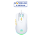 เมาส์เกมมิ่ง EGA Wired Gaming Mouse รุ่น TYPE M17 ราคา 239.-