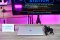 HP EliteBook x360 ทัชกรีนหมุนจอ360องศา i7-1185G7 Ram16 SSD512 จอ13.3นิ้ว FHD สเปคสูงทำงานได้อย่างไหลลื่น เครื่องพร้อมใช้งานเพียง 12,890.- เท่านั้น