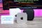 Apple Mac mini M4/16GB/256GB/10C GPU (MU9D3TH/A) ราคา 17,990 .- อุปกรณ์แท้ครบกล่องพร้อมประกันศูนย์
