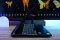Acer Predator Helios Neo 16 i5-13500HX RTX4050(6GB) Ram16 SSD512 จอ16 WQXGA 165Hz จอสวยสีตรง สเปคสูงจัดเต็ม คีย์บอร์ดไฟRGB4Zone เครื่องสวยวัสดุดี ราคาเพียง 31,990.-