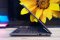 Acer Aspire 5 ตัวแรง i9-13900H Ram16 512GB M.2 จอ15.6นิ้ว FHD IPS สเปคสูงทำงานเก่ง ดีไซน์สวยเรียบหรูดูทันสมัย เครื่องพร้อมใช้งานในราคาสุดคุ้มเพียง 19,990.-เท่านั้น
