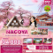 JXJ227 Feel the Bloom NAGOYA SHIRAKAWAGO TAKAYAMA MIE (5 วัน 3 คืน)(XJ)(MAR26)