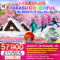 TAKAYAMA TAKASU COLORFUL IN WINTER 6วัน 4่คืน โดยสายการบิน THAI AIRWAYS (TG) (FEB-MAR25)